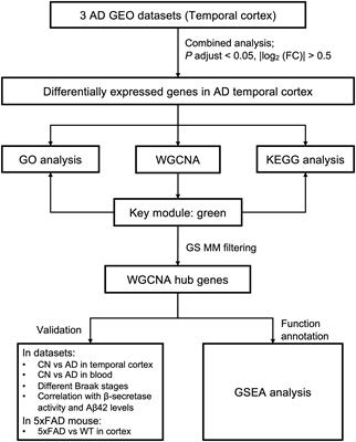 Identification of KIAA0513 and Other Hub Genes Associated With Alzheimer Disease Using Weighted Gene Coexpression Network Analysis